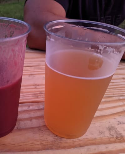 Unplugged Brewing Company